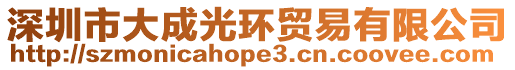 深圳市大成光環(huán)貿(mào)易有限公司
