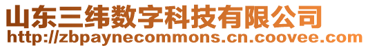 山東三緯數字科技有限公司