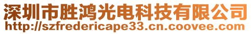 深圳市勝鴻光電科技有限公司