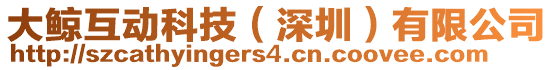 大鯨互動科技(深圳)有限公司