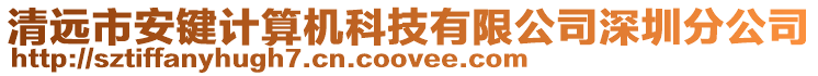 清遠(yuǎn)市安鍵計(jì)算機(jī)科技有限公司深圳分公司