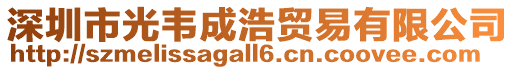 深圳市光韋成浩貿易有限公司