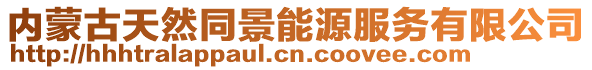 內(nèi)蒙古天然同景能源服務(wù)有限公司