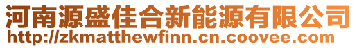 河南源盛佳合新能源有限公司