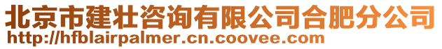 北京市建壯咨詢有限公司合肥分公司