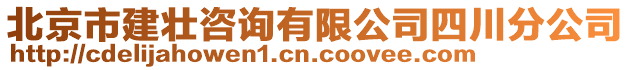 北京市建壯咨詢有限公司四川分公司