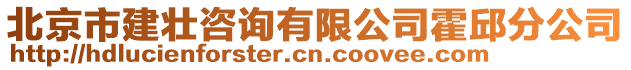 北京市建壯咨詢有限公司霍邱分公司