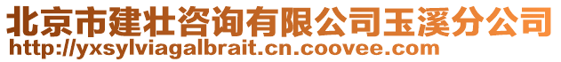 北京市建壯咨詢有限公司玉溪分公司