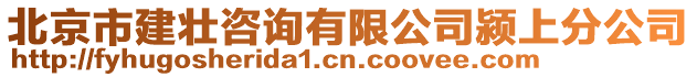 北京市建壯咨詢有限公司潁上分公司