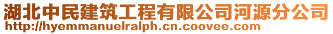 湖北中民建筑工程有限公司河源分公司