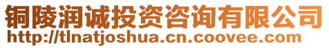 銅陵潤(rùn)誠(chéng)投資咨詢有限公司