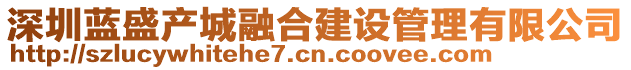 深圳藍(lán)盛產(chǎn)城融合建設(shè)管理有限公司