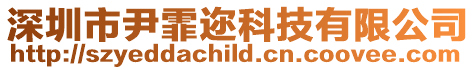 深圳市尹霏邇科技有限公司