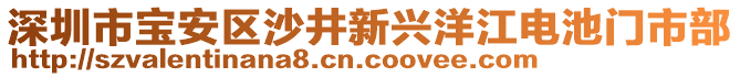 深圳市寶安區(qū)沙井新興洋江電池門市部