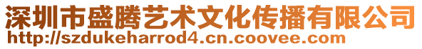 深圳市盛騰藝術文化傳播有限公司