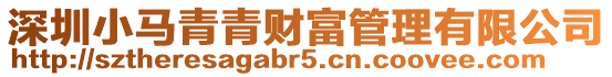 深圳小馬青青財富管理有限公司