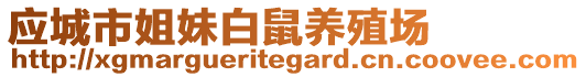 應城市姐妹白鼠養(yǎng)殖場