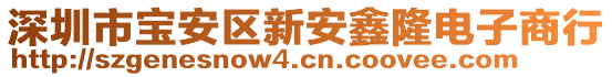 深圳市寶安區(qū)新安鑫隆電子商行