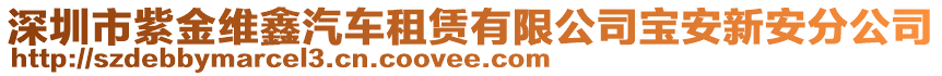 深圳市紫金維鑫汽車租賃有限公司寶安新安分公司