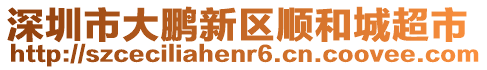 深圳市大鵬新區(qū)順和城超市