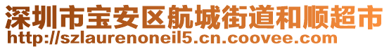 深圳市寶安區(qū)航城街道和順超市