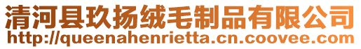 清河縣玖揚(yáng)絨毛制品有限公司