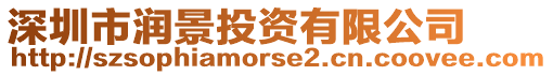 深圳市潤景投資有限公司