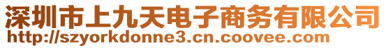 深圳市上九天電子商務(wù)有限公司