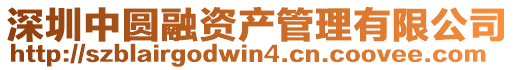 深圳中圓融資產管理有限公司