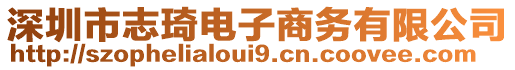 深圳市志琦電子商務(wù)有限公司