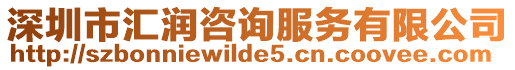 深圳市匯潤咨詢服務有限公司