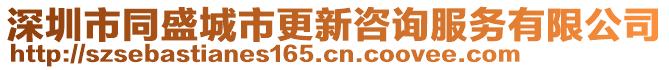 深圳市同盛城市更新咨詢服務有限公司