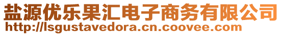 盐源优乐果汇电子商务有限公司