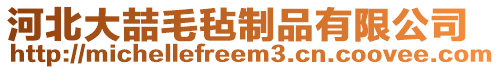 河北大喆毛氈制品有限公司