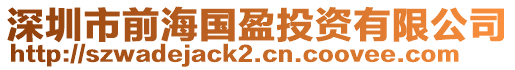 深圳市前海國(guó)盈投資有限公司