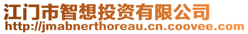 江門市智想投資有限公司