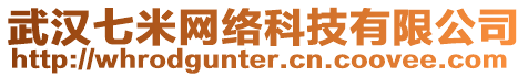 武漢七米網(wǎng)絡(luò)科技有限公司