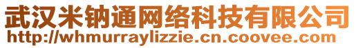 武汉米钠通网络科技有限公司