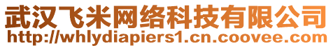 武漢飛米網(wǎng)絡(luò)科技有限公司