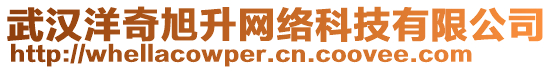 武漢洋奇旭升網(wǎng)絡(luò)科技有限公司