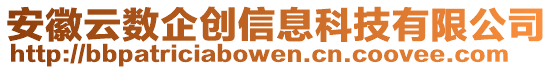 安徽云數(shù)企創(chuàng)信息科技有限公司