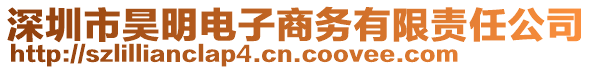 深圳市昊明電子商務有限責任公司