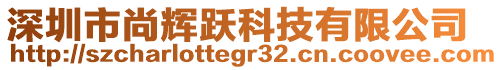 深圳市尚輝躍科技有限公司