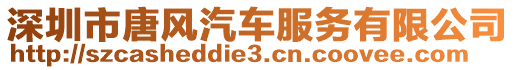 深圳市唐風(fēng)汽車服務(wù)有限公司