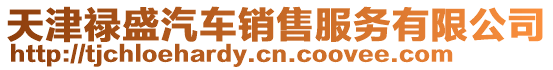 天津祿盛汽車銷售服務(wù)有限公司