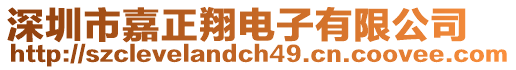 深圳市嘉正翔電子有限公司