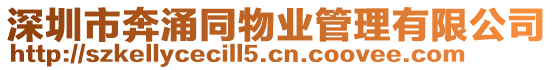 深圳市奔涌同物業管理有限公司