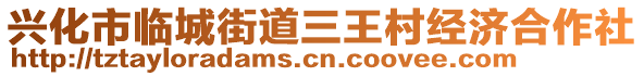 興化市臨城街道三王村經濟合作社