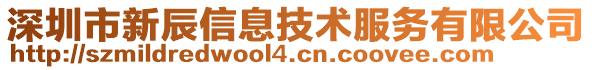 深圳市新辰信息技術服務有限公司