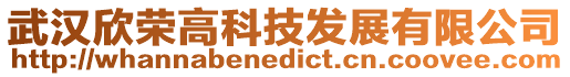 武漢欣榮高科技發展有限公司